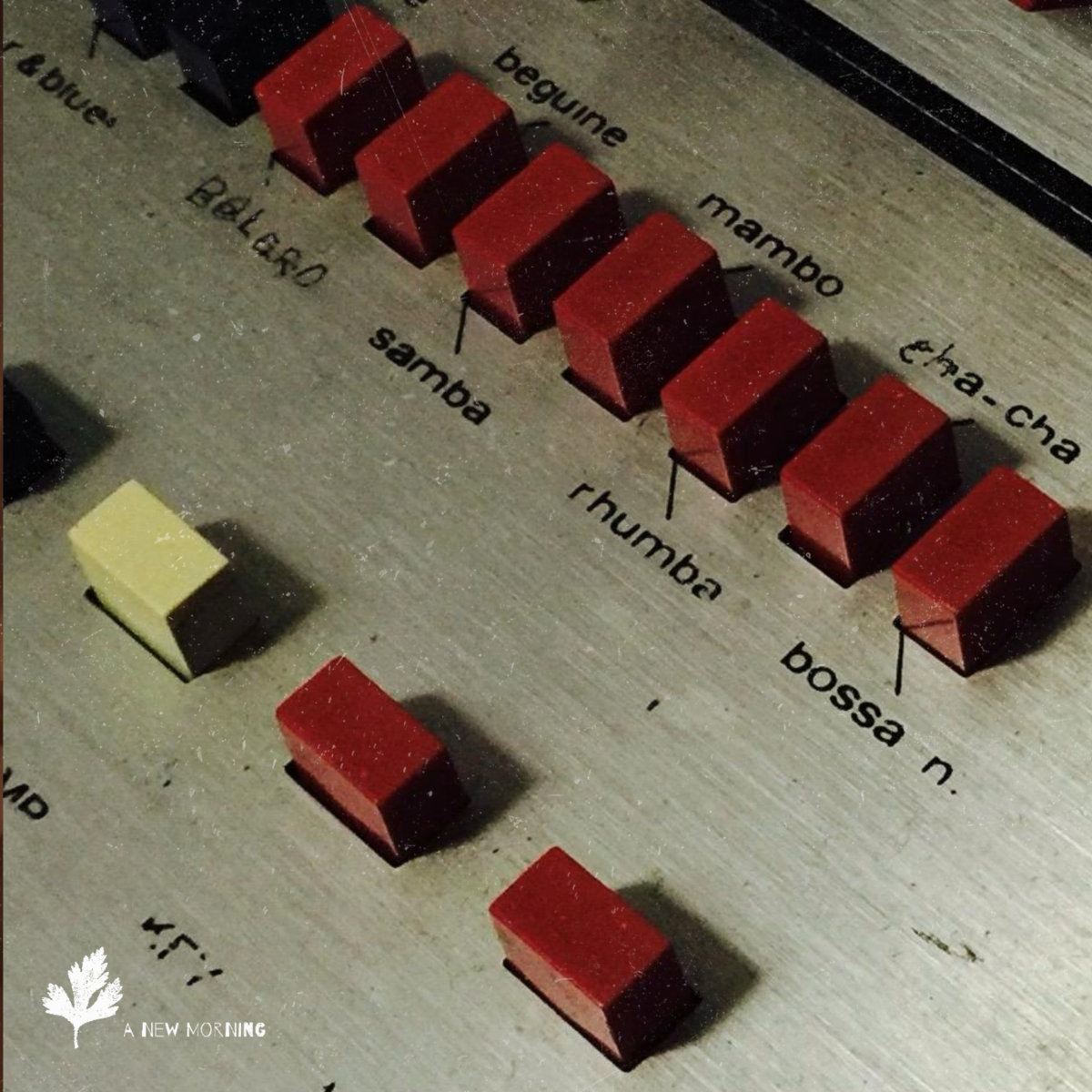 #13 I woke up a few years ago